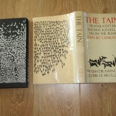 The Tain Translated by Thomas Kinsella from the Irish With Brush Drawings by Louis Le Brocquy Dolmen Editions IX