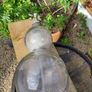 Antique Glass Bottle,Soda Syphon Image 7