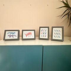 Four framed animal pictures
