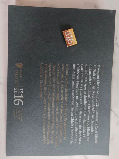 1916 -2016 anniversary pin