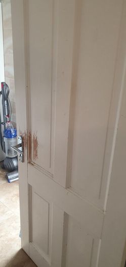 Pine doors