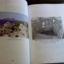 Coiglimis an Tine Cnuasach seanchais agus scealta Bhab Feiritear Ireland Irish Image 7