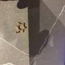 star of david star Image 2
