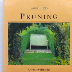 Pruning