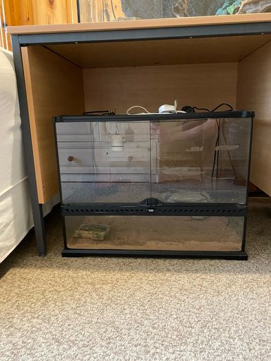 Exo Terra Reptile Tank