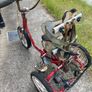 Special Needs Tricycle Image 2