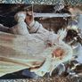 Lord of the Rings Jigsaw book Image 3