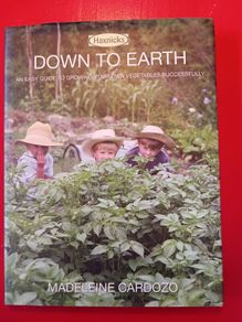 Down to Earth/ Easy Guide/ Vegetables/ Madeleine Cardoza
