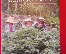 Down to Earth/ Easy Guide/ Vegetables/ Madeleine Cardoza