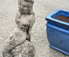 plant pots