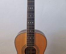 Washburn R315KK Guitar