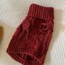 Small Dog Clothes Bundle Image 4