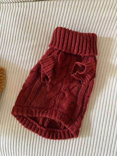 Small Dog Clothes Bundle