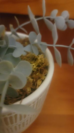Artificial Plants in Ceramic Pots x2