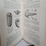 Science for All: Geology by C. I. Gardiner (PT214) Image 7