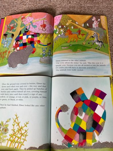 Elmer the Elephant 9 Book Set