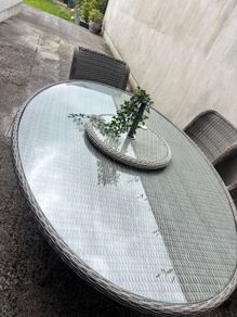 outdoor/ indoor dining table