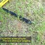 Agility Ladder Football Training Equipment Set, Football Ladder Training Kit Image 6