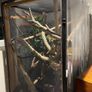 Reptile Enclosure Image 3