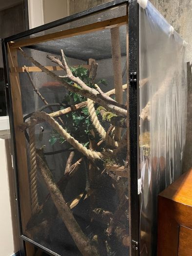 Reptile Enclosure