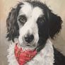Custom Pet Portrait Paintings Image 9