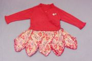 Girls Next Dress 18-24 mths