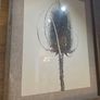 Framed Print Grove Home Image 4