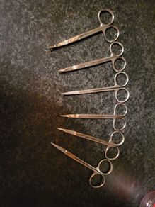 nail scissors
