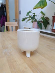 plant pot