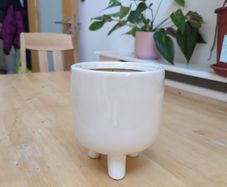 plant pot