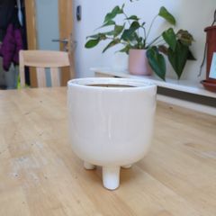 plant pot
