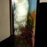 Rare Taxidermy Owl by Rohu & Sons Cork Image 7