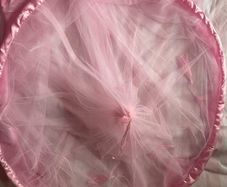Beautiful pink tulle princess bed canopy.
