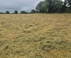 Round Bales of Organic Hay