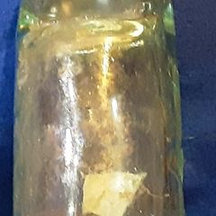 cod bottle from Woolwich