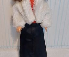 Outfit for Sindy, barbie and fleur