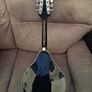 Guitar and Mandolin Image 10