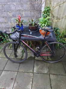 specialized allez