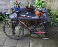 specialized allez