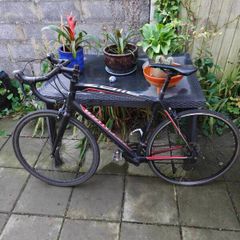 specialized allez