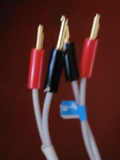 QED Silver Anniversarry XT Speaker Cable and QED QUNEX P-SW