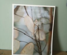 A tale of Two Gardens by Norah Burgess and Danae Kindness