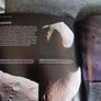 Astronomy/ A visual Guide/ Mark A. Garlick/ Readers Digest/ 2005 Image 5