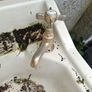 sink Image 2