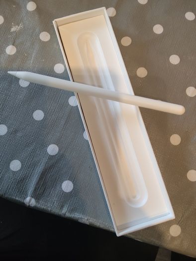 Apple pen