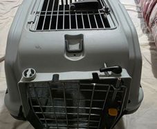 cat dog carrier transport