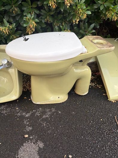 avocado bathroom set