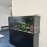Fish tank Image 5