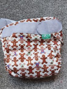 Tots Bots AIO cloth nappy