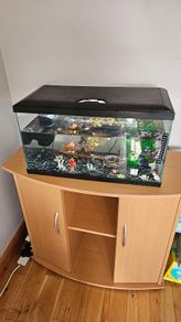 Aquarium and extras